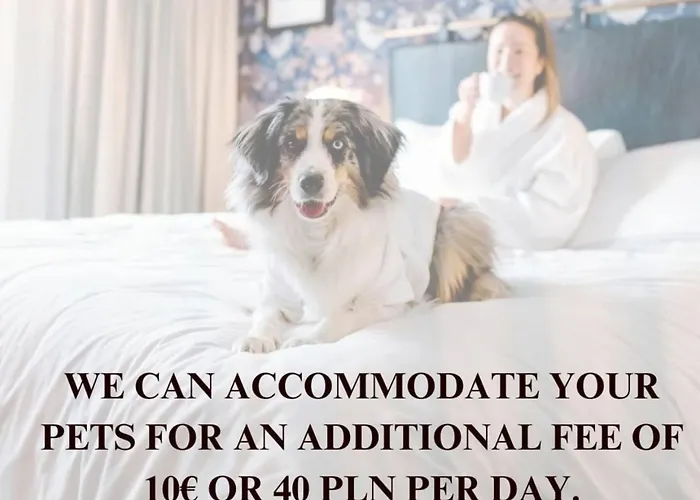 Lumina Stylish With Parking In Center *